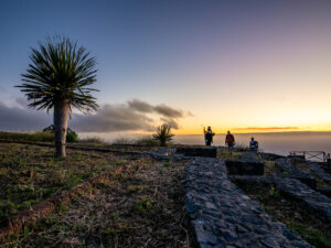 Visitors silhouetted at a clifftop viewpoint at dusk with a dragon tree (drago) in the foreground, La Palma.