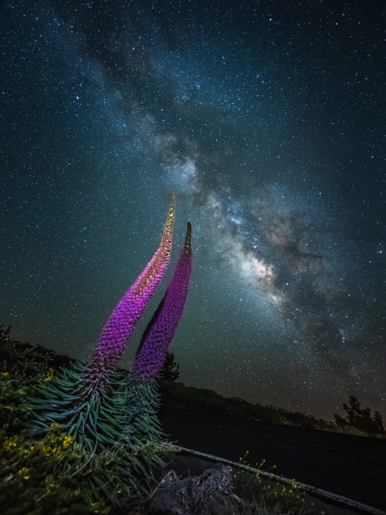 Astrophotography portfolio
