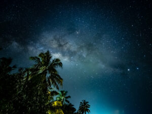 The galactic plane crossing the night sky above silhouetted coconut palms, Maldives.