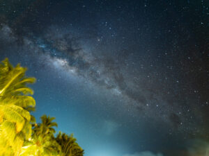 The galactic plane stretching across the sky above silhouetted palm trees, Maldives night sky.