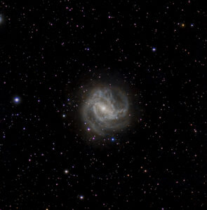 Deep-sky telescope image of M83, the Southern Pinwheel Galaxy, showing tightly wound spiral arms against a field of foreground stars.